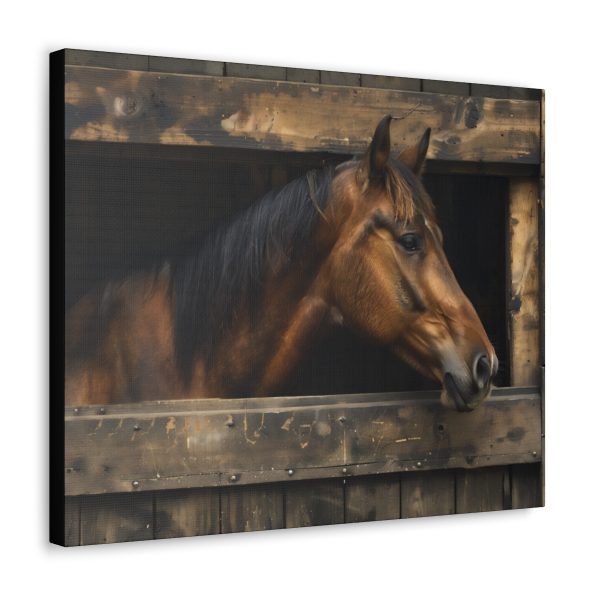 A Horse Breathing in the Freshness of a New Day: “Taking in the Morning Air” Canvas Art Print