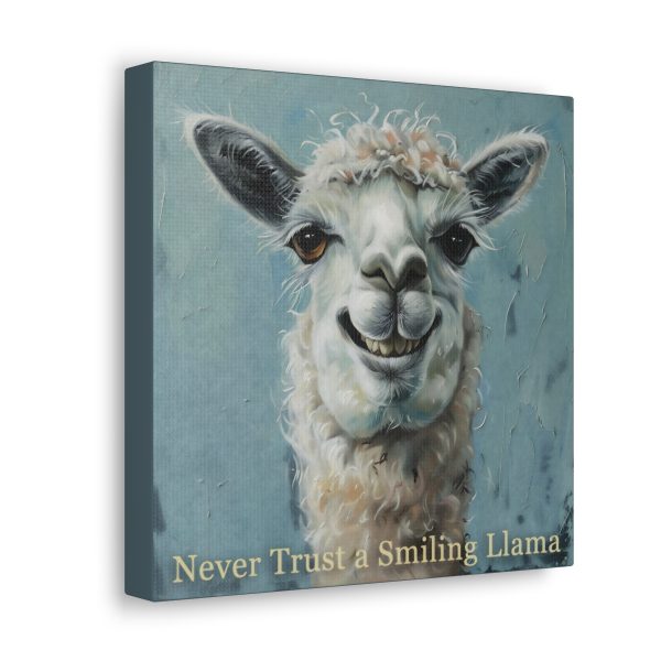 Never Trust a Smiling Llama Canvas Art Print