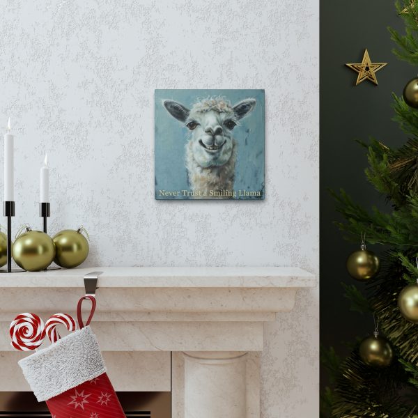 Never Trust a Smiling Llama Canvas Art Print