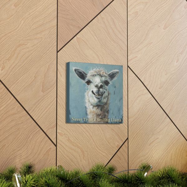 Never Trust a Smiling Llama Canvas Art Print