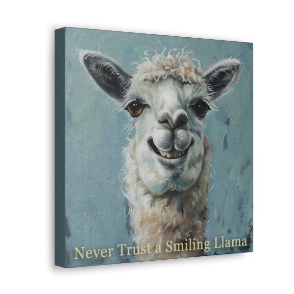 Never Trust a Smiling Llama Canvas Art Print