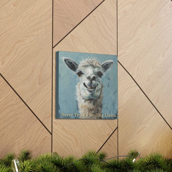 Never Trust a Smiling Llama Canvas Art Print