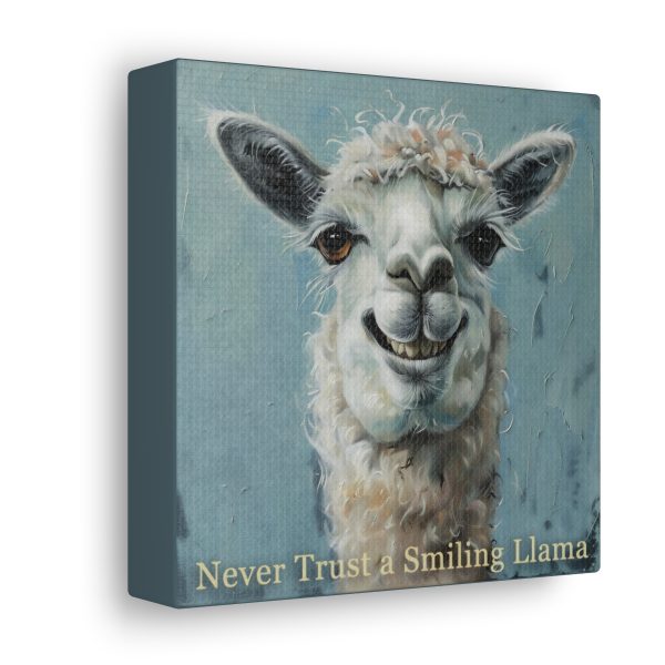 Never Trust a Smiling Llama Canvas Art Print