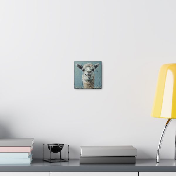 Never Trust a Smiling Llama Canvas Art Print