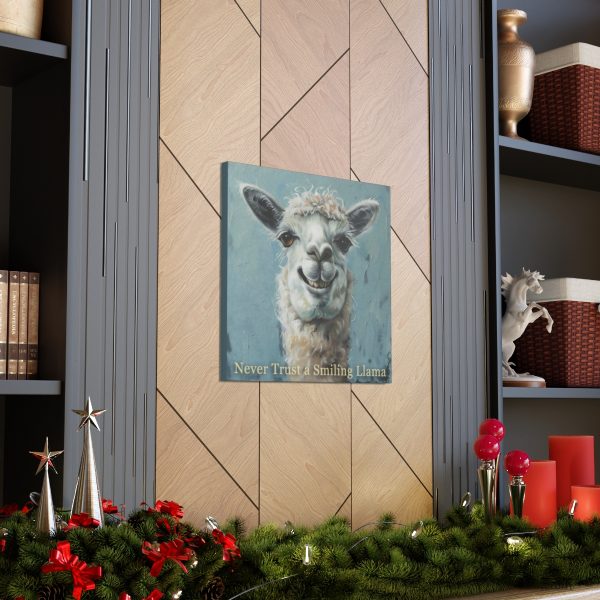 Never Trust a Smiling Llama Canvas Art Print